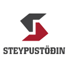 steypustodin-logo steypustodin-logo